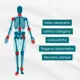 Raminantis gelis su Harpagophytum (velnio augalu ): sąnariams, lėtiniui uždegimui, osteoartritui, nugaros skausmams, raumenų įtampai 1+1 Raminantis gelis su Harpagophytum (velnio augalu ): sąnariams, lėtiniui uždegimui, osteoartritui, nugaros skausmams, raumenų įtampai 1+1